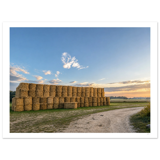 Held Light SandyLAND art print by Sandra Molin