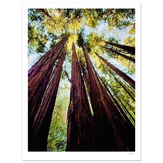 Ready Woody? SandyLAND art print by Sandra Molin