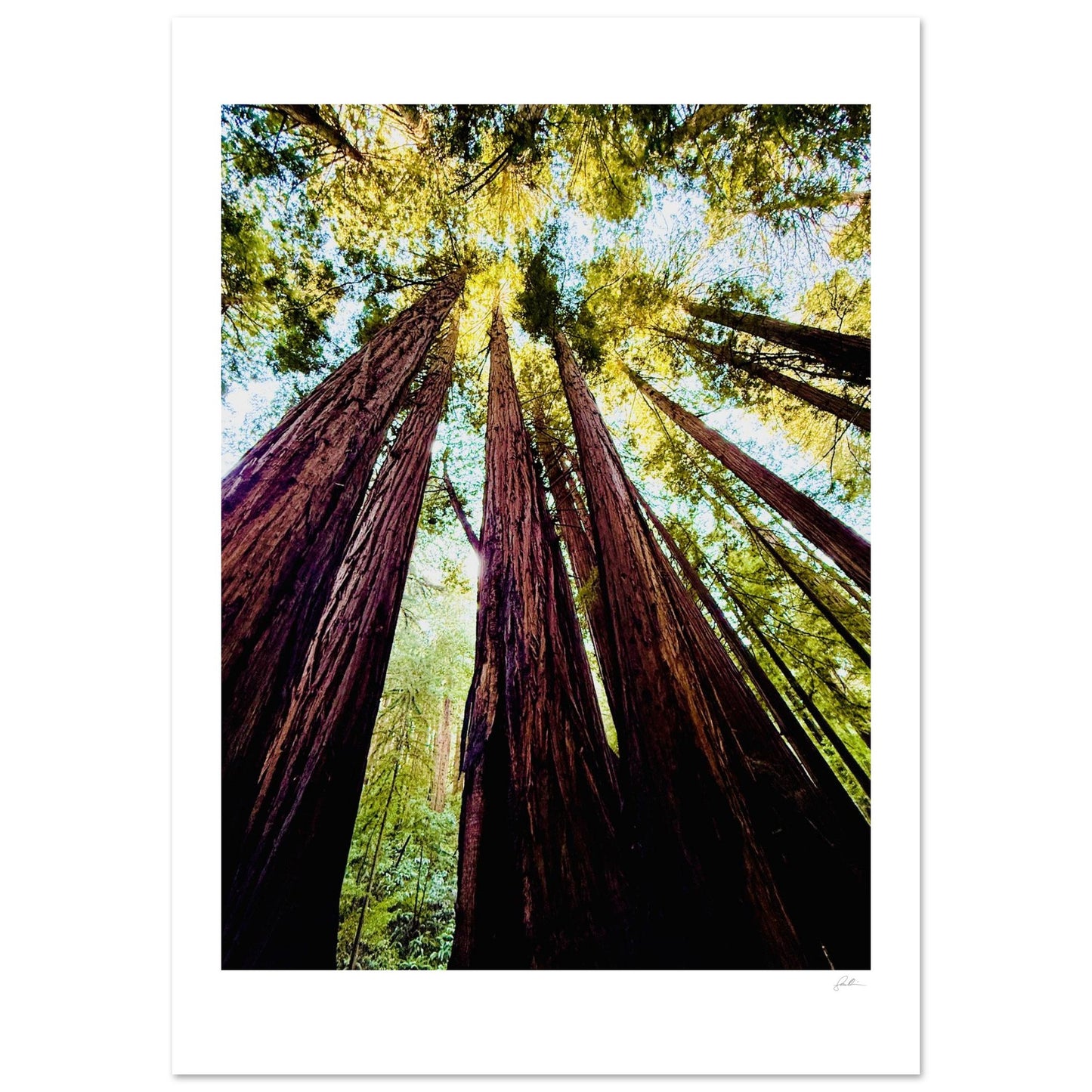 Ready Woody? SandyLAND art print by Sandra Molin